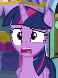 Size: 466x623 | Tagged: safe, screencap, twilight sparkle, alicorn, pony, g4, my little pony best gift ever, cropped, female, mare, shocked, solo, twilight sparkle (alicorn)