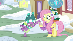 Size: 1280x720 | Tagged: safe, screencap, fluttershy, spike, dragon, pegasus, pony, g4, my little pony best gift ever, clothes, earmuffs, female, fluttershy's purple sweater, hat, male, mare, scarf, striped scarf, sweater, sweatershy, tail, winged spike, wings, winter outfit