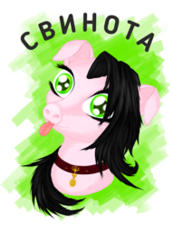 Size: 3832x5002 | Tagged: safe, artist:silviawing, oc, oc only, original species, pig, pig pony, black hair, bust, collar, cyrillic, female, food, green background, green eyes, mare, meat, meme, meme face, pork, portrait, russian, simple background, solo, svinota, tongue out