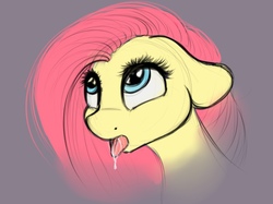 Size: 1077x806 | Tagged: safe, artist:cornelia_nelson, fluttershy, pony, g4, bust, cute, drool, female, floppy ears, gray background, looking up, simple background, sketch, solo, tongue out