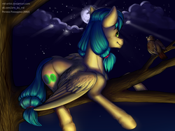 Size: 2000x1500 | Tagged: safe, artist:rrd-artist, oc, oc only, bird, pegasus, pony, cloud, crepuscular rays, female, mare, moon, night, sitting in a tree, solo, stars, tree, tree branch
