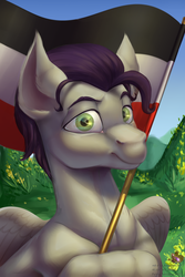 Size: 2000x3000 | Tagged: safe, artist:rrd-artist, oc, oc only, pegasus, pony, commission, flag, german empire, grass, green eyes, high res, hill, looking at you, male, sky, solo, stallion