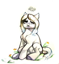 Size: 1280x1393 | Tagged: safe, artist:rrd-artist, oc, oc only, earth pony, pony, :c, cloud, cute, ear fluff, frown, horseshoes, raincloud, sad, shoulder fluff, solo, traditional art, watercolor painting
