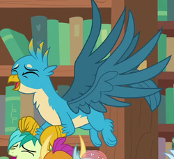 Size: 445x407 | Tagged: safe, screencap, gallus, ocellus, sandbar, silverstream, smolder, earth pony, griffon, pony, g4, what lies beneath, bookshelf, chest fluff, claws, cropped, cute, eyes closed, gallabetes, gallawws, laughing, male, paws, spread wings, wings