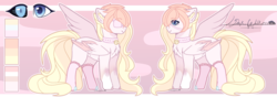 Size: 2760x968 | Tagged: safe, artist:sora-choi, oc, oc only, oc:kiko, pegasus, pony, clothes, collar, eyepatch, female, mare, reference sheet, signature, socks, solo, two toned wings
