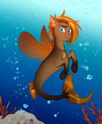 Size: 2550x3096 | Tagged: safe, artist:askbubblelee, oc, oc only, oc:singe, pony, seapony (g4), bubble, coral, freckles, high res, male, smiling, solo, stallion, underwater