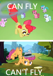 Size: 464x668 | Tagged: safe, edit, edited screencap, screencap, apple bloom, scootaloo, earth pony, pegasus, pony, g4, ponyville confidential, the cutie pox, abuse, applecopter, caption, everyone but scootaloo can fly, fake cutie mark, female, filly, foal, fuck logic, image macro, loop-de-hoop, sad, scootabuse, scootaloo can't fly, tailcopter, text
