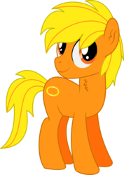 Size: 3551x5020 | Tagged: safe, artist:cyanlightning, oc, oc only, oc:boon, earth pony, pony, 2019 community collab, derpibooru community collaboration, g4, .svg available, absurd resolution, chest fluff, ear fluff, male, simple background, solo, stallion, transparent background, vector