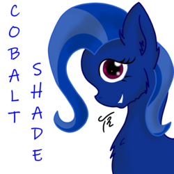 Size: 2000x2000 | Tagged: safe, artist:tunrae, oc, oc only, oc:cobalt shade, pony, english, high res, looking at you, side view, simple background, solo, transparent background