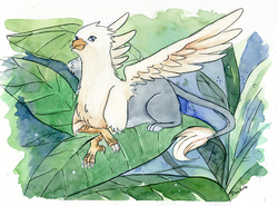 Size: 1670x1234 | Tagged: safe, artist:crisjofreart, oc, oc only, oc:der, griffon, leaves, male, micro, sitting, solo, spread wings, traditional art, watercolor painting, wings