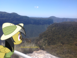Size: 1002x748 | Tagged: safe, artist:didgereethebrony, daring do, pony, g4, blue mountains, cliff, didgeree collection, irl, lookout, mlp in australia, photo, ponies in real life, solo, valley