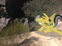 Size: 1002x748 | Tagged: safe, artist:didgereethebrony, daring do, pony, g4, blue mountains, cliff, didgeree collection, irl, mlp in australia, photo, ponies in real life, solo, sweat, sweatdrop, valley