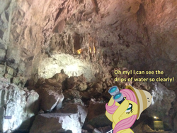 Size: 1002x748 | Tagged: safe, artist:didgereethebrony, fluttershy, pony, g4, binoculars, cave, didgeree collection, irl, jenolan caves, mlp in australia, photo, solo, stalactite