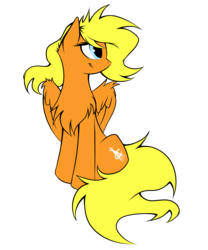 Size: 2660x3200 | Tagged: safe, artist:kejifox, artist:lightly-san, oc, oc only, oc:lightly breeze, pegasus, pony, 2019 community collab, derpibooru community collaboration, chest fluff, female, high res, simple background, smiling, solo, transparent background
