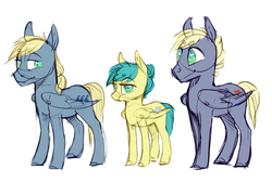 Size: 1280x860 | Tagged: safe, artist:amphoera, oc, oc:gale force, oc:storm surge, oc:venti via, pegasus, pony, brother, female, male, sister