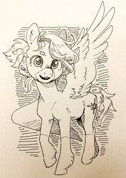Size: 1280x1809 | Tagged: safe, artist:amphoera, oc, oc only, oc:wind shear, pegasus, pony, female, looking at you, mare, monochrome, solo, spread wings, wings
