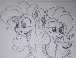 Size: 716x546 | Tagged: safe, artist:post-it, fluttershy, pinkie pie, earth pony, pegasus, pony, g4, duo, female, ink drawing, lidded eyes, mare, monochrome, simple background, sketch, smiling, traditional art, white background