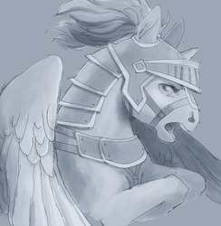 Size: 1043x1067 | Tagged: safe, artist:amphoera, oc, oc only, pegasus, pony, armor, looking at you, solo