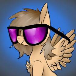 Size: 1024x1024 | Tagged: safe, artist:brainiac, oc, oc only, pegasus, pony, chest fluff, christmas gift, gradient background, solo, sunglasses