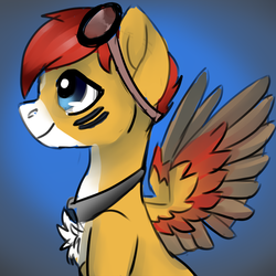 Size: 1024x1024 | Tagged: safe, artist:brainiac, oc, oc only, pegasus, pony, bust, chest fluff, christmas gift, goggles, profile, solo, spread wings, wings