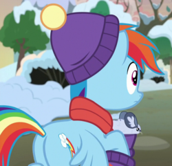 Size: 681x654 | Tagged: safe, screencap, rainbow dash, pegasus, pony, winterchilla, g4, my little pony best gift ever, butt, clothes, cropped, female, hat, mare, plot, scarf, winter outfit
