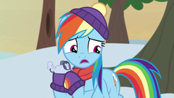 Size: 1280x720 | Tagged: safe, screencap, rainbow dash, pegasus, pony, winterchilla, g4, my little pony best gift ever, clothes, female, hat, mare, scarf, winter outfit