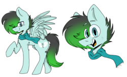 Size: 6600x4000 | Tagged: safe, artist:xdarklapisx, oc, oc only, oc:gryph xander, pegasus, pony, clothes, gradient mane, gradient tail, male, scarf, smiling, solo, stallion, wings