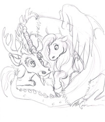 Size: 1240x1435 | Tagged: safe, artist:carnivorouscaribou, discord, fluttershy, draconequus, pegasus, pony, g4, duo, female, looking at each other, male, monochrome, raised hoof, sitting, sketch, traditional art, unshorn fetlocks