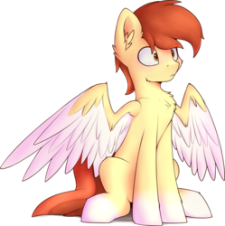 Size: 1701x1705 | Tagged: safe, artist:renderpoint, oc, oc only, oc:render point, pegasus, pony, male, simple background, sitting, solo, stallion, transparent background