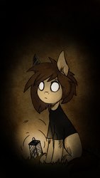 Size: 720x1280 | Tagged: source needed, safe, artist:okity, oc, oc only, earth pony, pony, clothes, crossover, don't starve, lantern, night, shirt, sitting, solo, t-shirt
