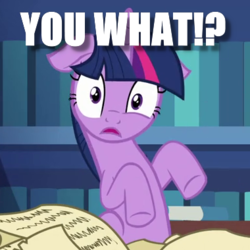 Size: 380x380 | Tagged: safe, edit, edited screencap, screencap, twilight sparkle, alicorn, pony, celestial advice, g4, book, caption, confused, eye twitch, female, floppy ears, frown, image macro, impact font, library, looking at you, mare, meme, question, reaction image, sitting, solo, surprised, text, twilight sparkle (alicorn), wide eyes