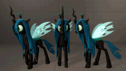 Size: 853x480 | Tagged: safe, artist:psfmer, queen chrysalis, changeling, changeling queen, pony, g4, 3d, animated, female, gif, large wings, looking at you, looking away, mare, side view, simple background, solo, source filmmaker, spread wings, triality, walk cycle, walking, wings