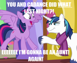 Size: 434x358 | Tagged: safe, edit, edited screencap, screencap, shining armor, twilight sparkle, alicorn, pony, unicorn, g4, my little pony best gift ever, caption, clothes, door, exclamation point, happy, image macro, implied impregnation, implied sex, interrobang, meme, question mark, scarf, smug, spread wings, text, twilight sparkle (alicorn), twilight's castle, wings