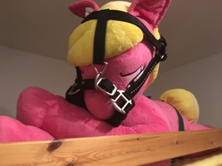 Size: 4032x3024 | Tagged: safe, artist:drzedworth, lily, lily valley, g4, bed, halter, irl, life size, photo, plushie, tack