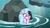 Size: 1280x720 | Tagged: safe, screencap, silverstream, g4, what lies beneath, animated, crying, female, scared, seapony silverstream, solo, sound, splashing, tears of fear, that hippogriff sure does love indoor plumbing, webm, worried