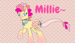 Size: 1094x633 | Tagged: safe, artist:spero, oc, oc:millie, opossum pony, original species, abstract background, blank flank, blue eyes, clothes, collar, eyebrows, female, leonine tail, looking at you, markings, raised hoof, rat tail, scarf, short mane, spiked collar, text