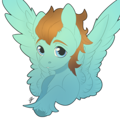 Size: 3186x3258 | Tagged: safe, artist:daniil_gasan, oc, oc only, oc:luck rock, pegasus, pony, digital art, high res, hoof fluff, male, signature, simple background, smiling, solo, spread wings, stallion, transparent background, wings, ych result