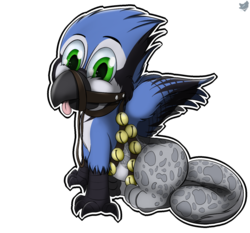 Size: 1500x1400 | Tagged: safe, artist:cloufy, oc, oc only, oc:kalmoor arkturus, bird, blue jay, griffon, antlers, reindeer antlers, solo, tongue out
