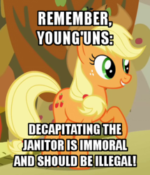 Size: 370x430 | Tagged: safe, edit, edited screencap, screencap, applejack, earth pony, pony, g4, captain obvious, caption, cropped, female, image macro, implied decapitation, mare, text, wat