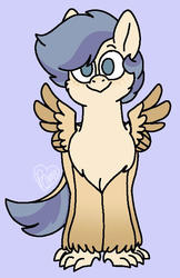 Size: 457x706 | Tagged: safe, artist:sandwichbuns, oc, oc only, classical hippogriff, hippogriff, male, solo