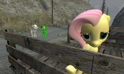 Size: 1076x645 | Tagged: safe, artist:didgereethebrony, derpy hooves, fluttershy, oc, oc:didgeree, pony, g4, 3d, bridge, gmod, implied shipping, sad