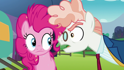 Size: 1280x720 | Tagged: safe, screencap, pinkie pie, svengallop, earth pony, pony, g4, the mane attraction, bully, bullying, female, glare, glasses, male, mare, stallion