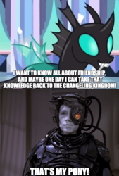 Size: 800x1183 | Tagged: safe, edit, edited screencap, screencap, thorax, changeling, g4, the times they are a changeling, borg, caption, comparison, hugh, star trek, three of five
