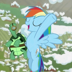 Size: 1080x1080 | Tagged: safe, screencap, rainbow dash, tank, g4, tanks for the memories, armpits