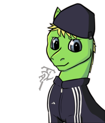 Size: 3366x3940 | Tagged: safe, artist:firelorda2, oc, oc only, earth pony, pony, adidas, gopnik, green, high res, slav, solo