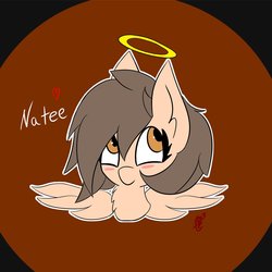 Size: 1000x1000 | Tagged: safe, artist:exxie, oc, oc only, oc:natee, pegasus, pony, female, halo, mare, simple background, wings