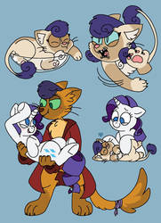 Size: 1024x1413 | Tagged: safe, artist:sandwichbuns, capper dapperpaws, rarity, oc, oc:yarnball, abyssinian, hybrid, anthro, g4, blue background, capperbetes, capperity, chest fluff, clothes, coat, cute, female, interspecies offspring, male, ocbetes, offspring, parent:capper dapperpaws, parent:rarity, parents:capperity, sexy, shipping, simple background, straight, stupid sexy capper