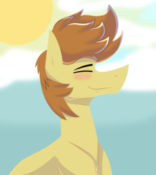 Size: 2312x2594 | Tagged: safe, artist:sapphireartemis, feather bangs, pony, g4, bust, high res, male, portrait, solo