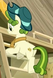 Size: 717x1060 | Tagged: safe, screencap, pistachio, earth pony, pony, g4, my little pony best gift ever, butt, cute, freckles, hat, ladder, male, pistachiaww, plot, smiling, solo, stallion, teenager
