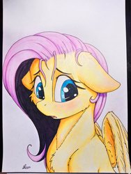 Size: 3456x4608 | Tagged: safe, artist:alcor, fluttershy, pegasus, pony, g4, blushing, bust, cheek fluff, chest fluff, cute, eyelashes, female, floppy ears, fluffy, high res, looking down, looking sideways, mare, open mouth, photo, portrait, signature, simple background, solo, stray strand, three quarter view, traditional art, wings